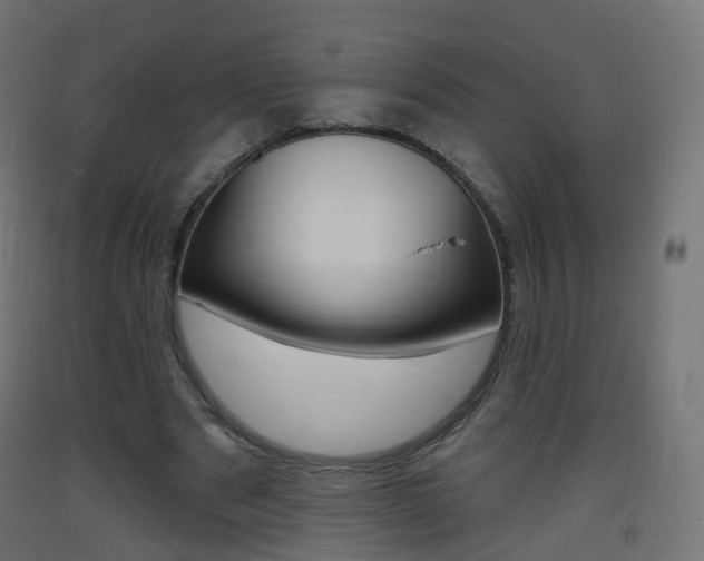 X0000093400489200710120859