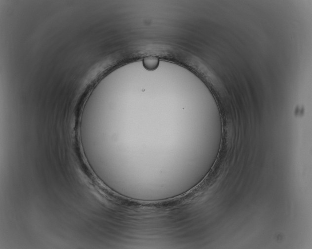 X0000093400490200710120859
