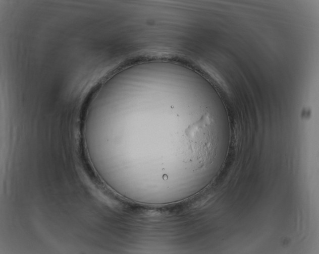 X0000093400494200710120859