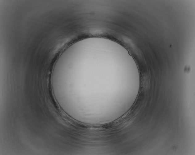 X0000093400495200710120859