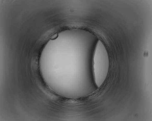 X0000093400498200710120859
