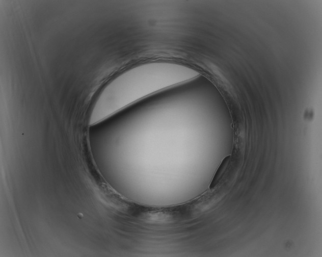 X0000093400500200710120859