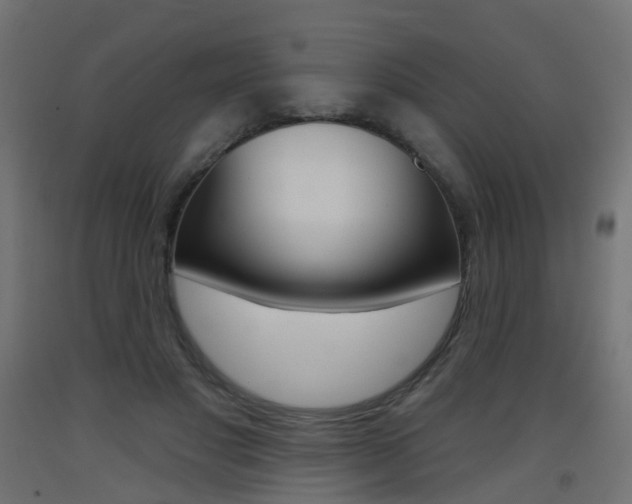 X0000093400501200710120859