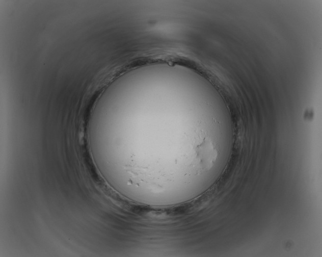 X0000093400502200710120859