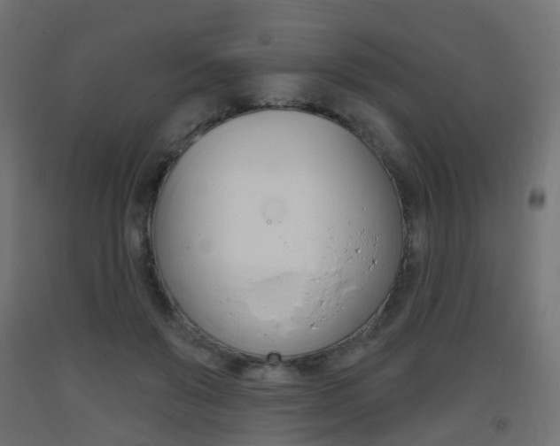 X0000093400503200710120858