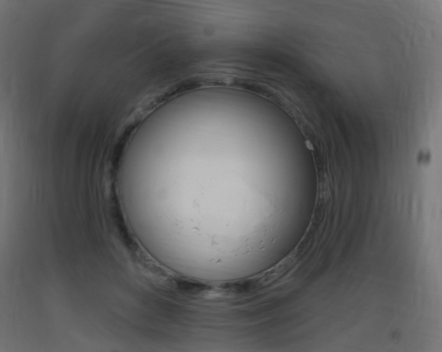 X0000093400504200710120858