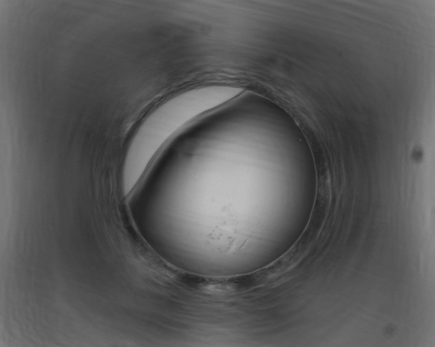 X0000093400508200710120858