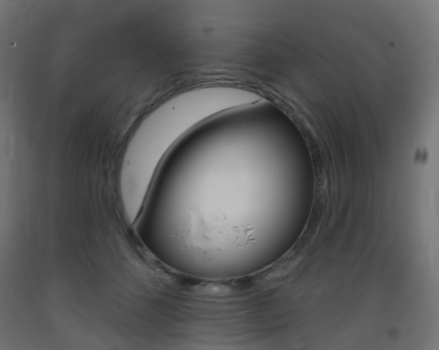 X0000093400512200710120858