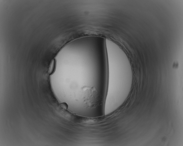 X0000093400513200710120858