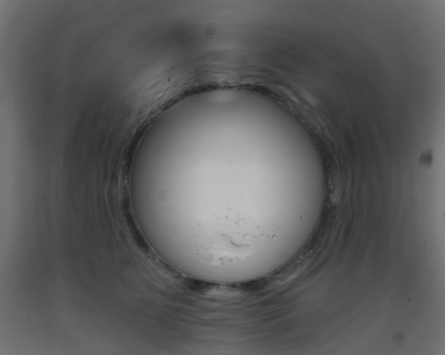 X0000093400515200710120858