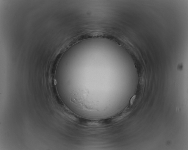 X0000093400516200710120858
