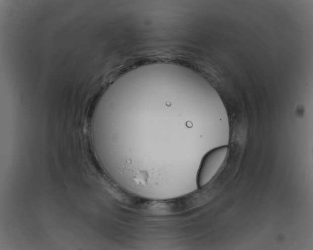 X0000093400518200710120858
