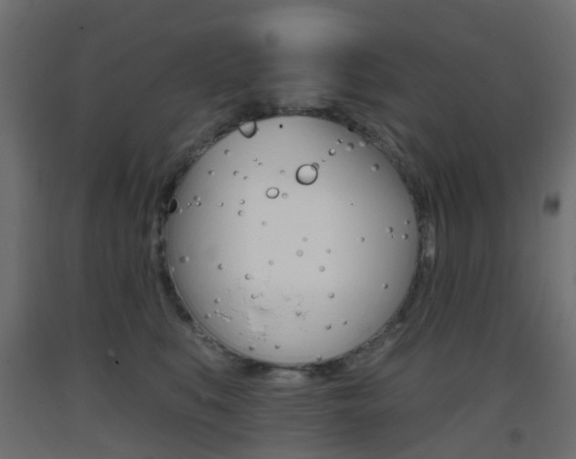 X0000093400519200710120858