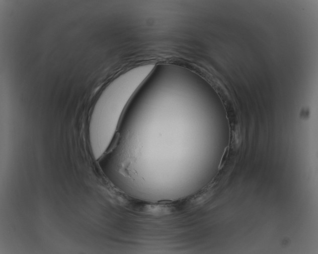 X0000093400520200710120858