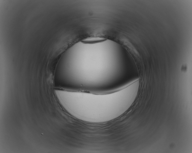 X0000093400521200710120858