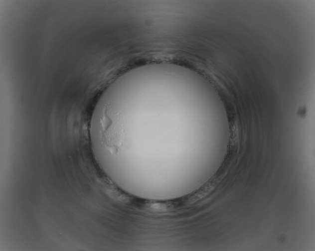 X0000093400522200710120858
