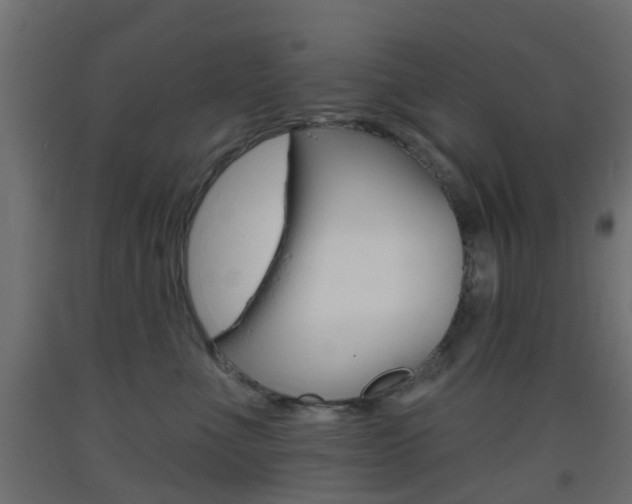 X0000093400523200710120858