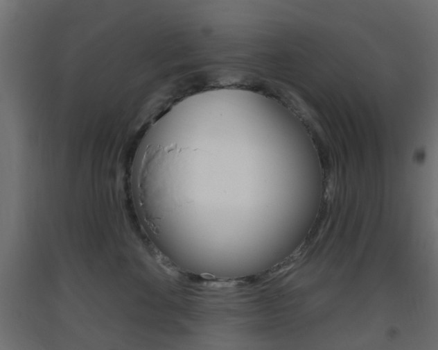 X0000093400524200710120858