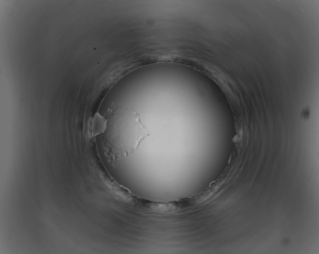 X0000093400525200710120858