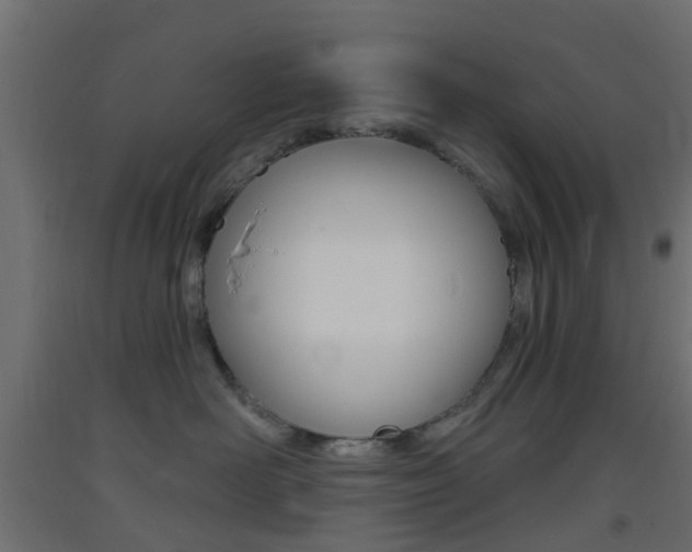 X0000093400526200710120858