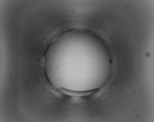 X0000093400528200710120858