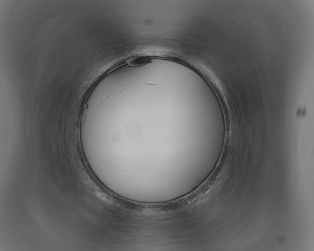 X0000093400529200710120858