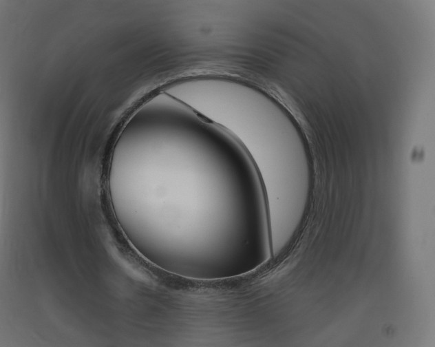 X0000093400530200710120858