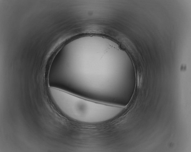 X0000093400531200710120858