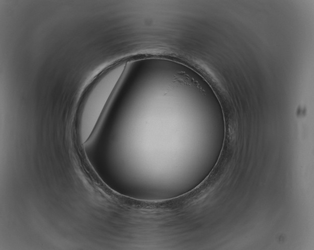 X0000093400532200710120858