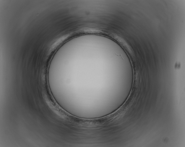 X0000093400533200710120858