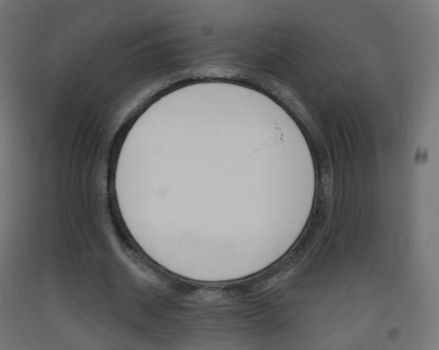 X0000093400534200710120858