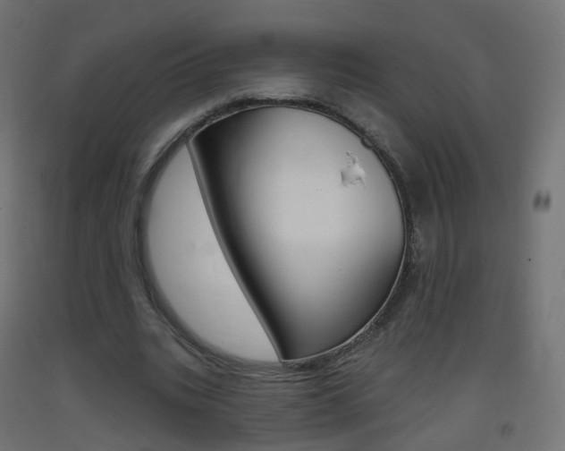 X0000093400535200710120858