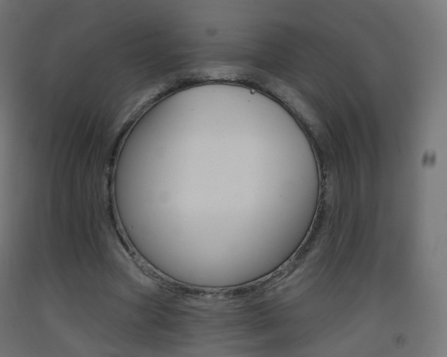 X0000093400537200710120858