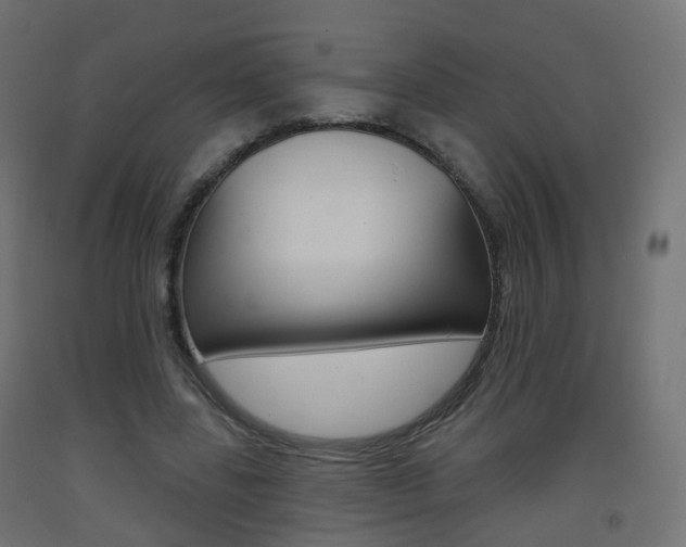 X0000093400539200710120858