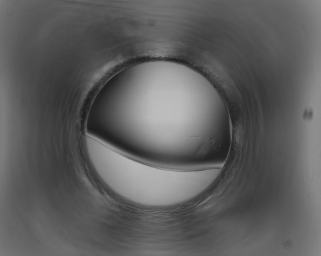 X0000093400540200710120858