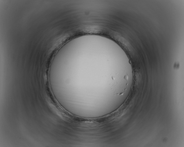 X0000093400541200710120858