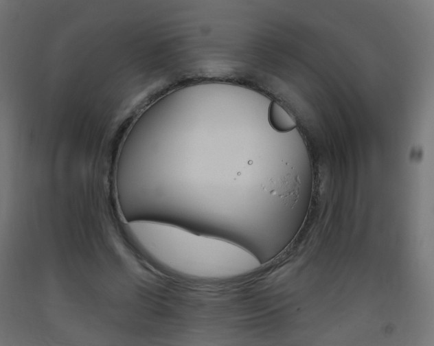 X0000093400542200710120858