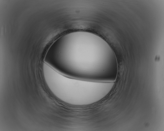 X0000093400544200710120858