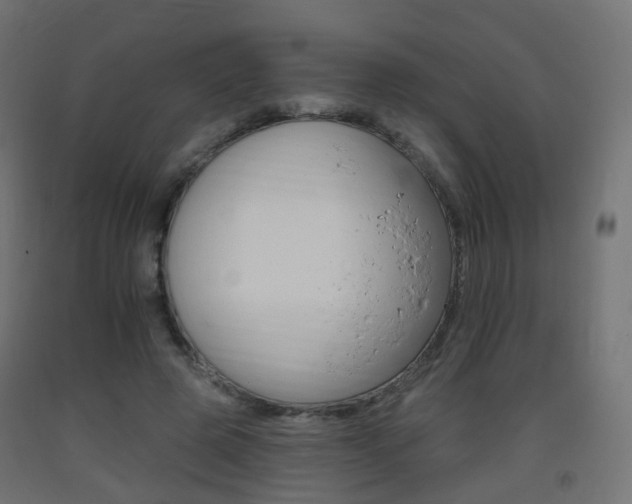 X0000093400545200710120858