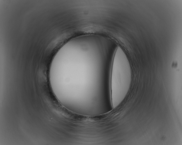 X0000093400547200710120858