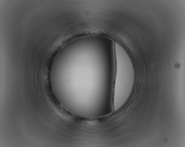 X0000093400548200710120858