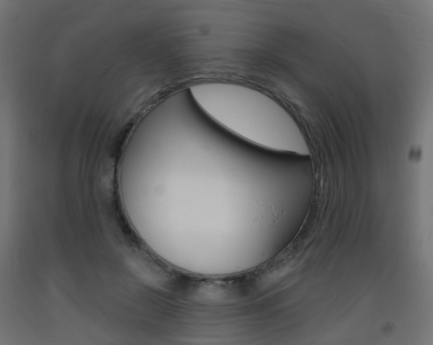 X0000093400550200710120858