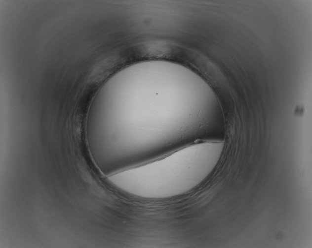 X0000093400551200710120858