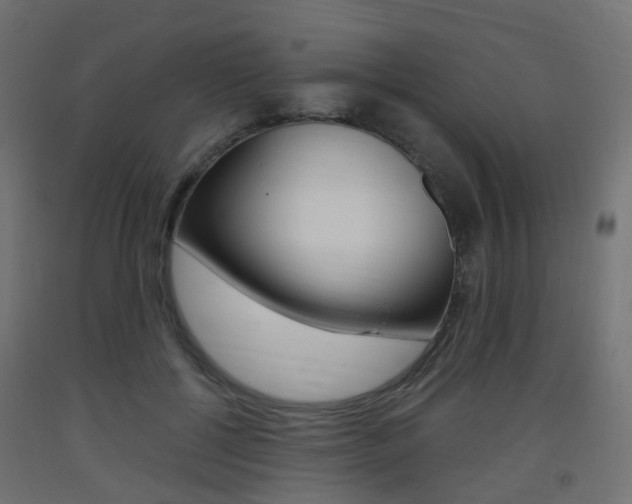 X0000093400552200710120858