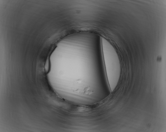 X0000093400555200710120858