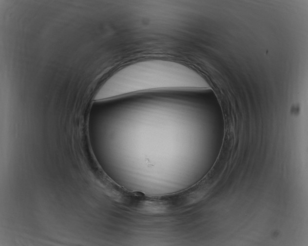 X0000093400556200710120858