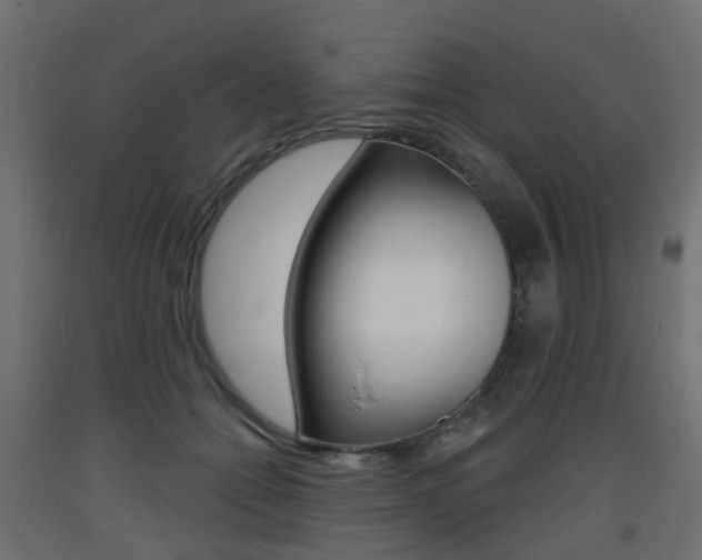 X0000093400558200710120858