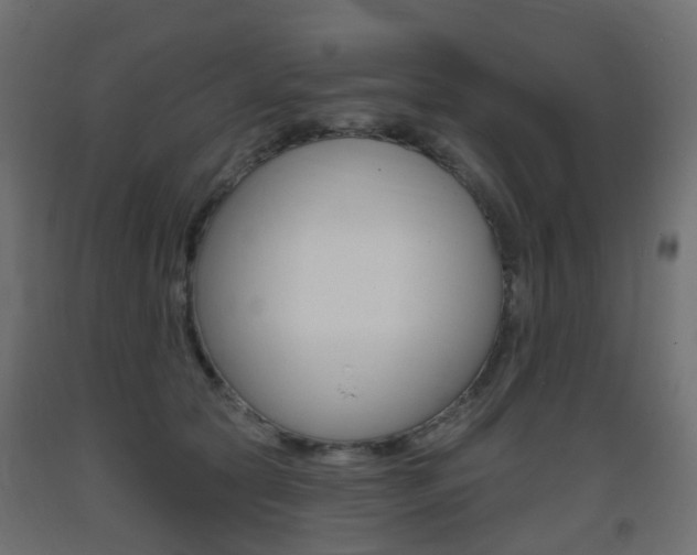 X0000093400561200710120858