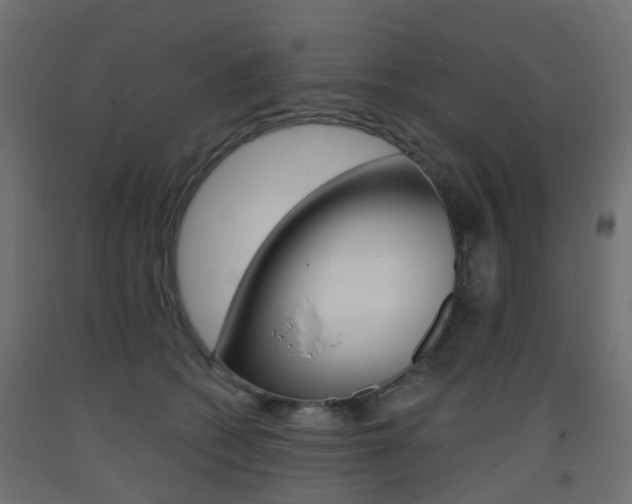 X0000093400562200710120858