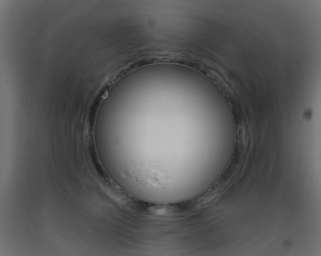 X0000093400564200710120858